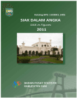 Siak Dalam Angka 2011