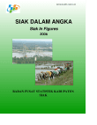 Siak Dalam Angka 2007